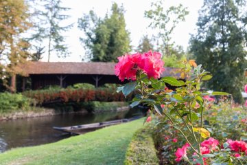 Europa-Park Blumenpracht (Schlossgarten, etc.)