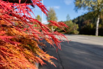 Wunderschöner Herbstnachmittag