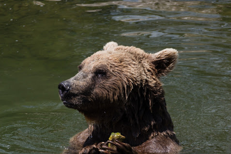 Tierpark Arth-Goldau